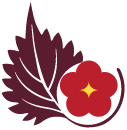 SOELU