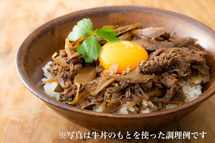 宮崎県産牛 牛丼の具 160g×10食 国産 レトルト | 朝ごはん本舗